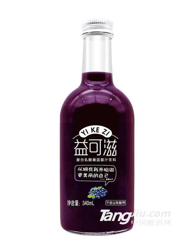 復(fù)合乳酸菌果汁（藍(lán)莓味）-340ml